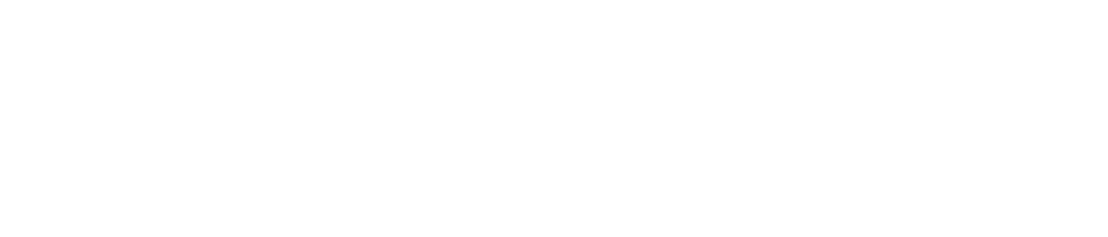 Logo%2BSchriftzug_weiss_L30cm_300dpi_frei